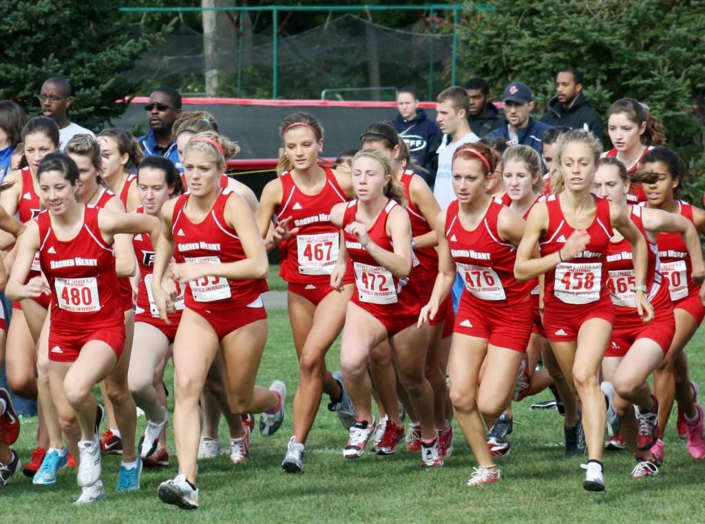 Is Arrowheads Cross Country Team Better Than Ever?