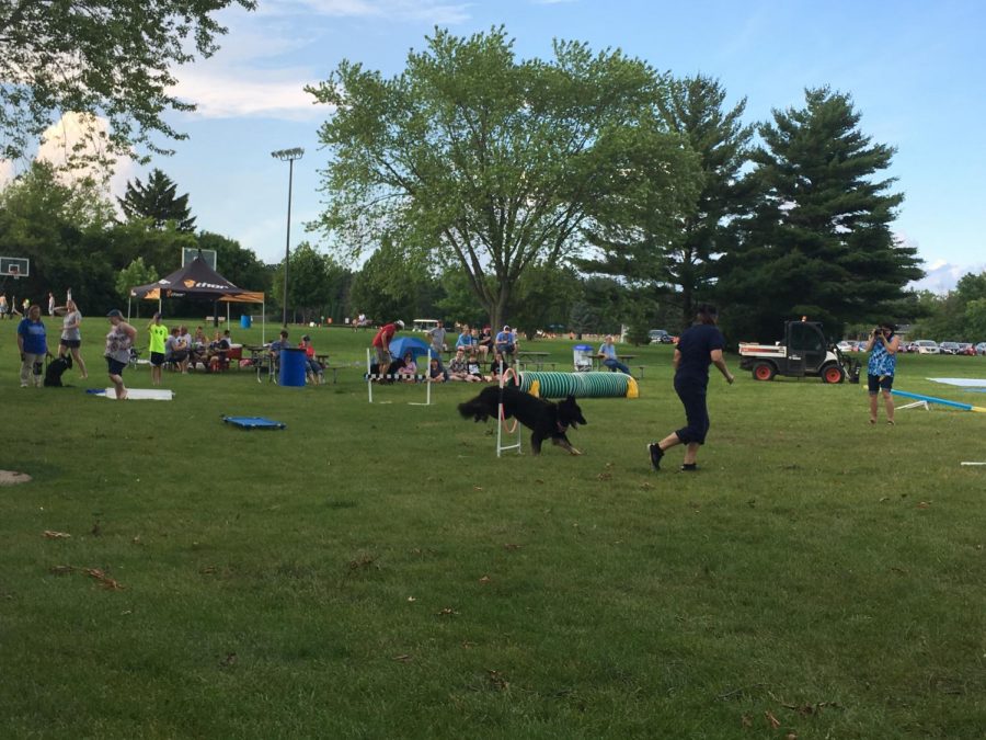 Arrowhead Students Invited to German Shepherd Club Events