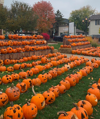 A Haunted House and College Application Filled Fall Break